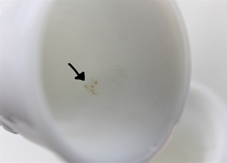 Puede incluir: Primer plano de un cuenco de cer&aacute;mica blanco con una peque&ntilde;a mancha marr&oacute;n en el interior.
