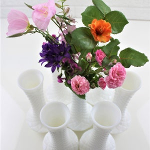 Puede incluir: Seis jarrones de vidrio de leche blanco con un patr&oacute;n de diamante texturizado. Los jarrones est&aacute;n dispuestos en c&iacute;rculo con un ramo de flores rosas, naranjas y moradas en el centro.