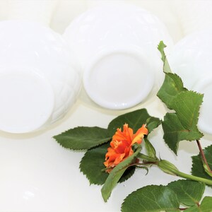 Puede incluir: Juego de seis cuencos de vidrio de leche blanco con un dise&ntilde;o floral. Los cuencos est&aacute;n dispuestos en semic&iacute;rculo con una sola rosa naranja en el centro.