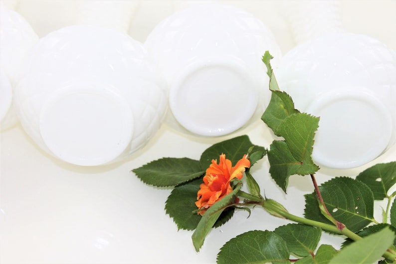 Puede incluir: Juego de seis cuencos de vidrio de leche blanco con un dise&ntilde;o floral. Los cuencos est&aacute;n dispuestos en semic&iacute;rculo con una sola rosa naranja en el centro.
