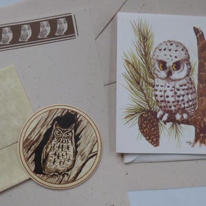 Vintage 70&#39;s  Owl Stationery Collection Sampler ~ Letter Set Note Card Postalette Unique Owl Seal Thayer Hallmark Brown Nature Junk Journal