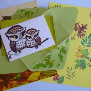 May include: A collection of stationery items featuring an owl illustration. The set includes a greeting card with two owls perched on a branch, green envelopes, and stationery with autumn leaf designs. The color palette includes shades of brown, green, and yellow.