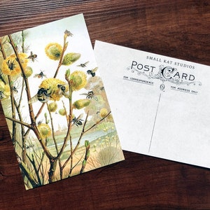 Biene Blumen Natur Liebhaber Postkarte Vintage Reproduktion Antikes Papier Post Retro Bumblebee Save the Bees