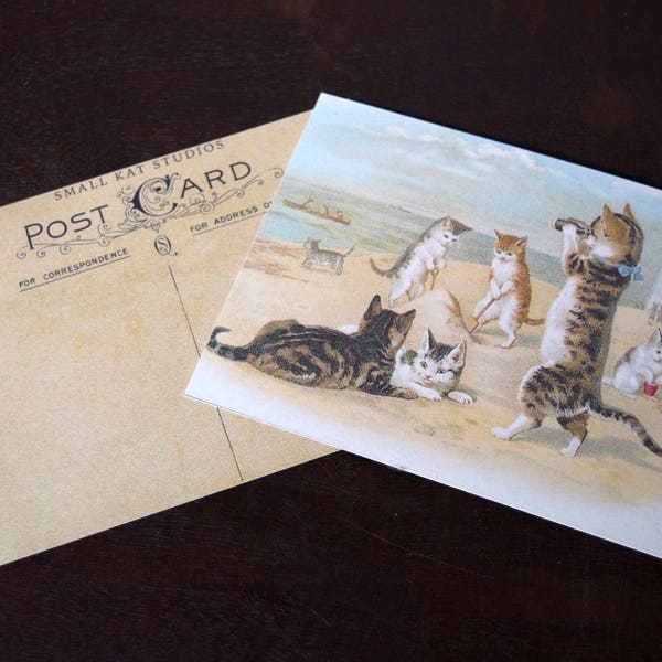 Cat Beach Postcard Vintage Reproduction Antique Summer Kitten Paper Mail Post Ocean Vacation