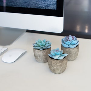 3 SET Artificial Succulents Plants, Mini Faux Fake Potted DIY Home Office Decor, Desk Decor, Shelf, Rustic Decorations, DIY, Apartment Decor