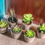 6 Set Artificial Succulent Plants Faux Succulents Fake Etsy