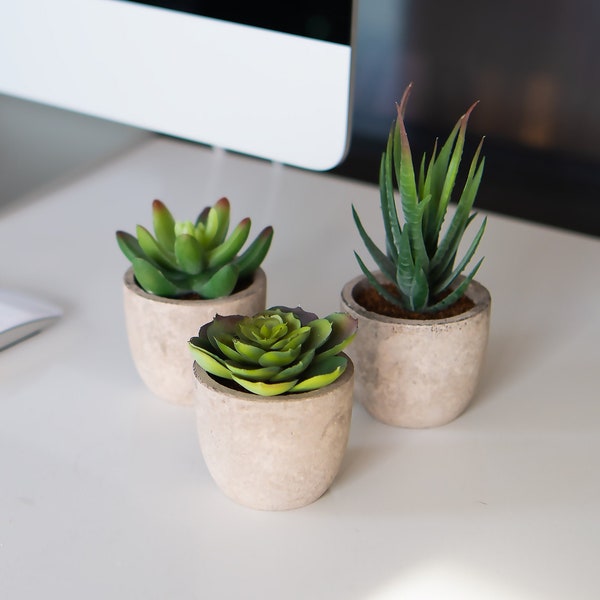 3 SET Artificial Succulents Plants, Mini Faux Fake Potted DIY Home Office Decor, Desk Decor, Shelf, Rustic Decorations, DIY, Apartment Decor