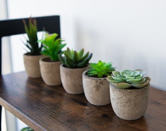 Artificial Succulents Etsy