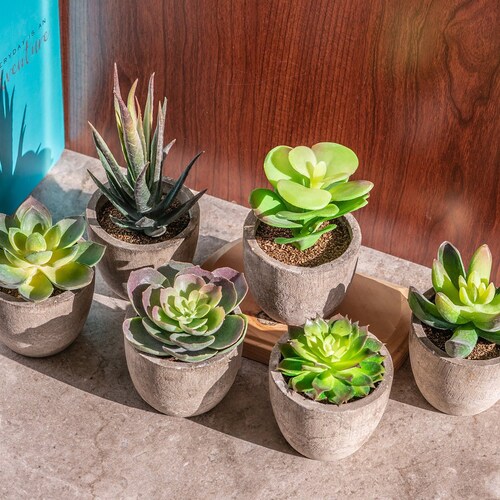 Small Artificial Succulents Plants Artificial Potted Fake Etsy