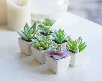 Small Artificial Plants in Pots For Home Decor Fake Faux Feaux Face Decorative Plant Decoration Arrangements Mini Artificial Potted Plants Greenery Decor Shelf Desk Office Green Rosemary /& Bamboo, 2