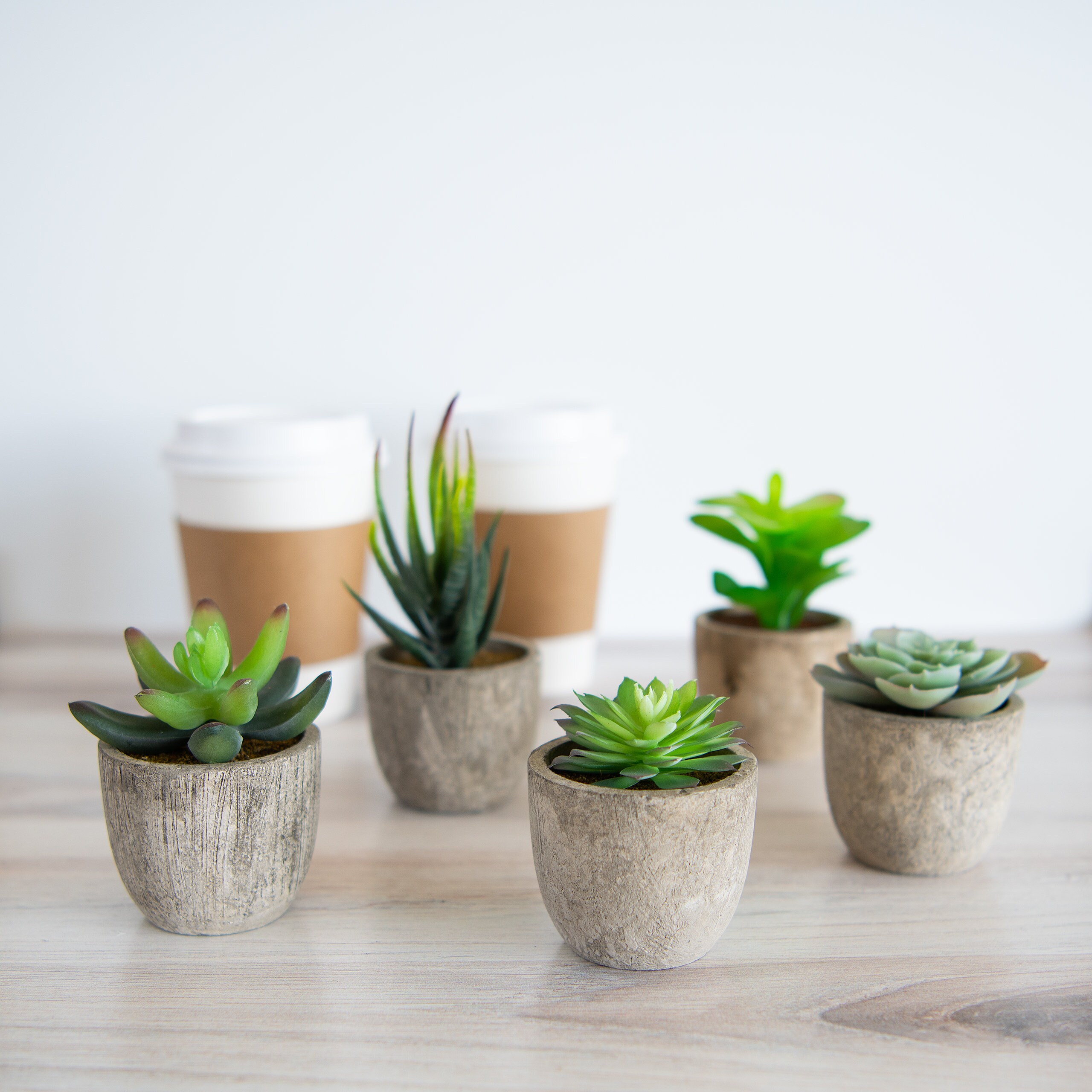 Variety Set of Fake Succulent Plants Faux Succulents In Pot Etsy