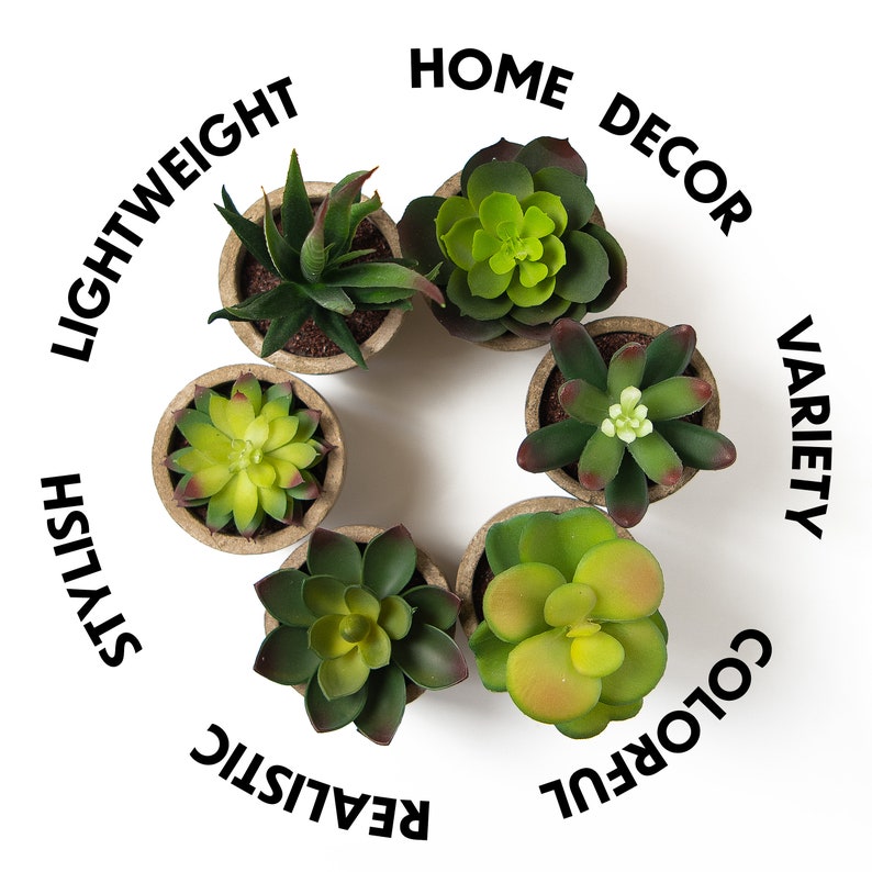 Small Artificial Succulents Plants Artificial Potted Fake Etsy