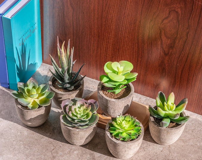 Variety Set of Fake Succulent Plants Faux Succulents in Pot Rustic Farmhouse Home Decoration