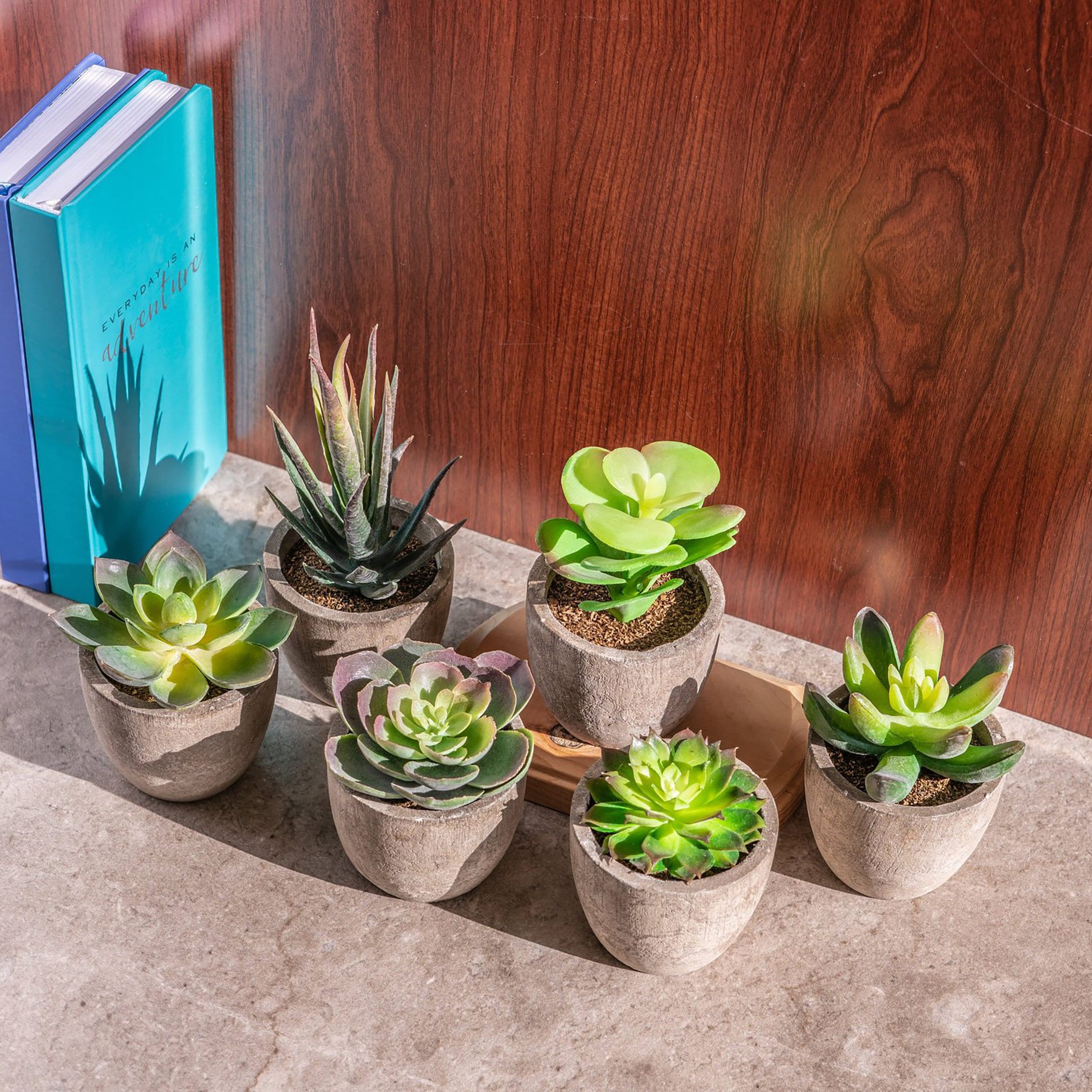 Variety Set of Fake Succulent Plants Faux Succulents in Pot Rustic