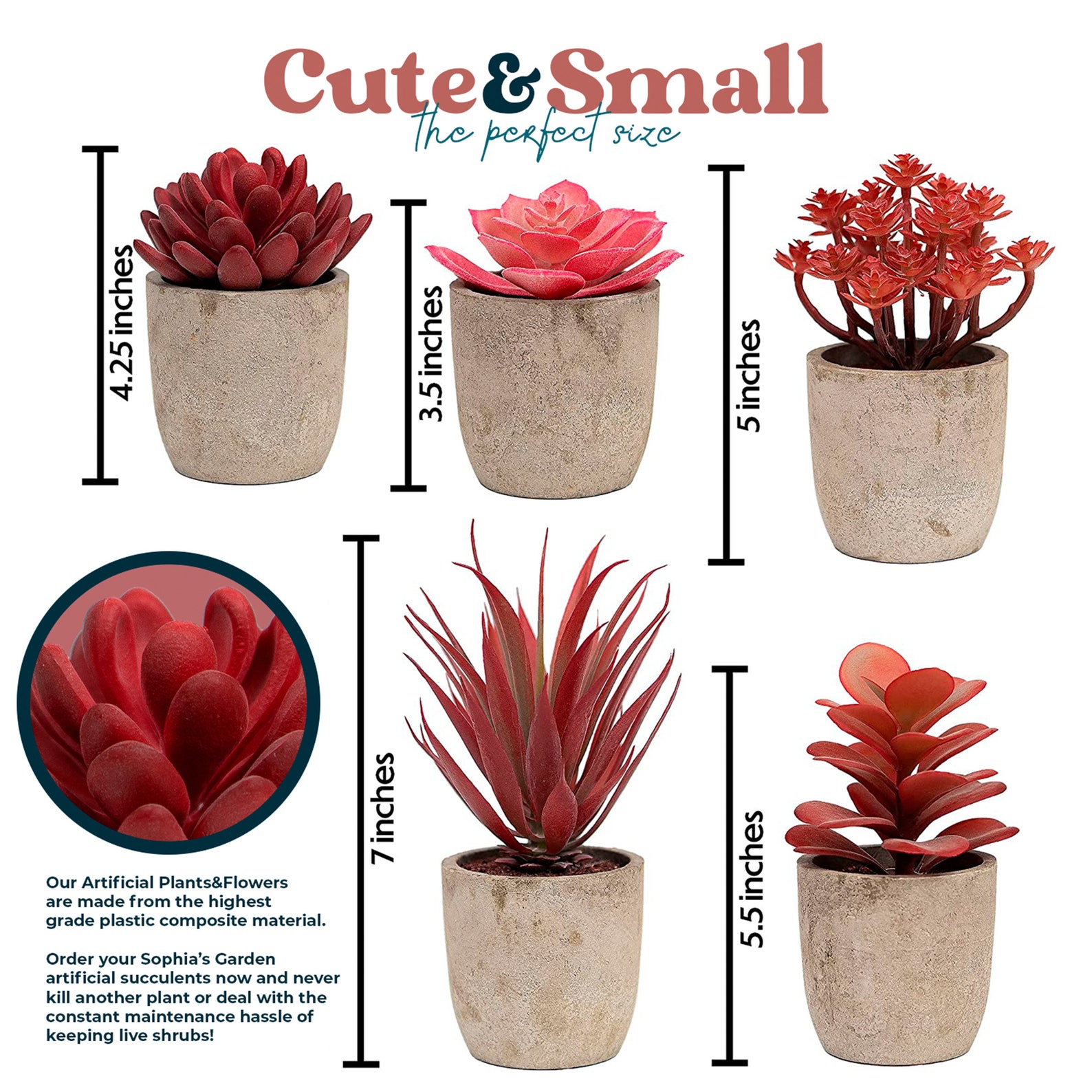 5 PC Set Fake Succulents Rustic Home Decoration Mid Etsy