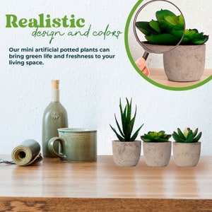 Variety Set of Fake Succulent Plants Faux Succulents in Pot Rustic ...