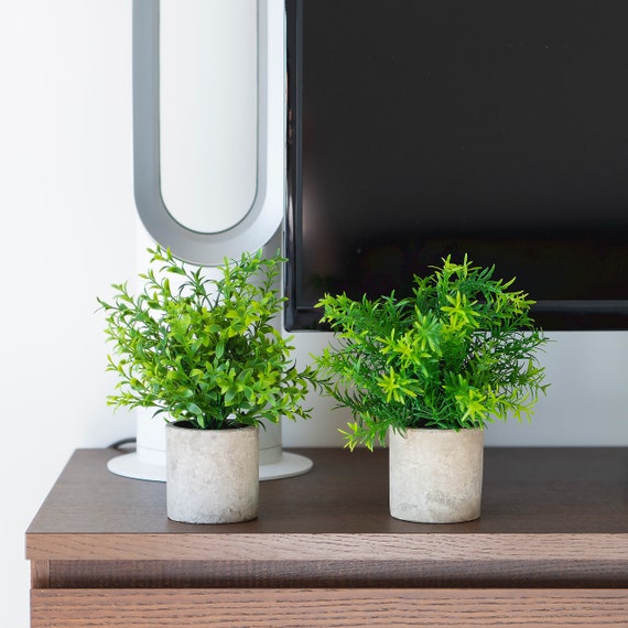 Rustic Home Decoration Rustic Decorfarmhouse Rosemary Plant Etsy