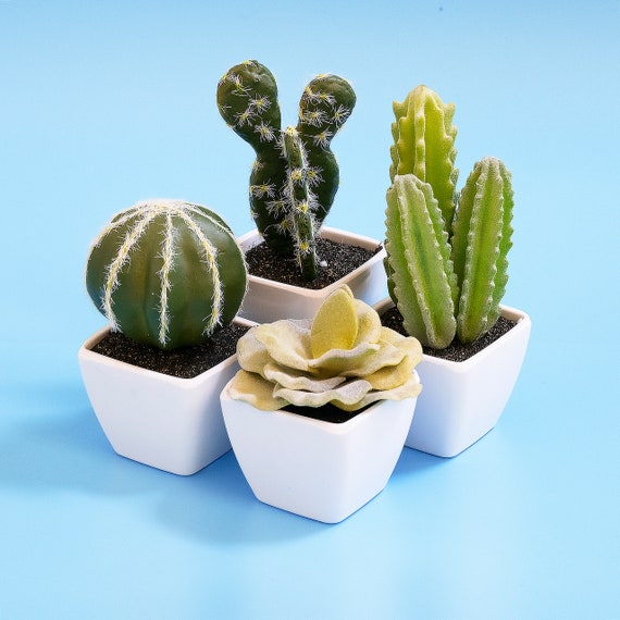 4 Set Artificial Succulents Plants Cactus In Pots Potted Etsy
