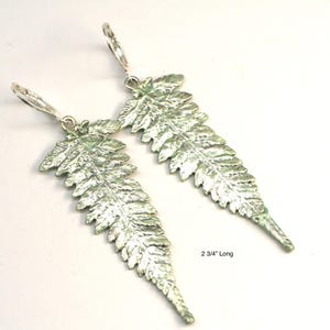 May include: A pair of silver fern earrings with a green patina finish. The earrings are 2 3/4 inches long.