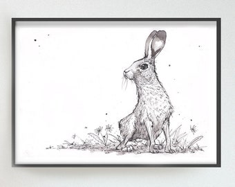 Hare print, hare art, giclee art print, gift idea, cute animals, ink drawing, wildlife art birthday gift idea