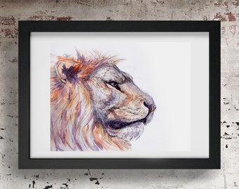 Lion print, Lion art, Lion gifts, African wildlife, Lion artwork, Lion watercolour print, lion drawing.