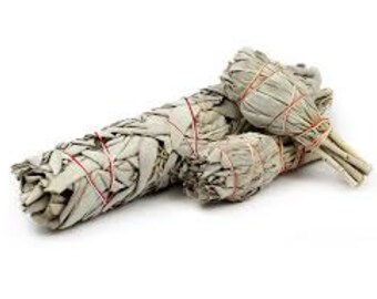 White Sage