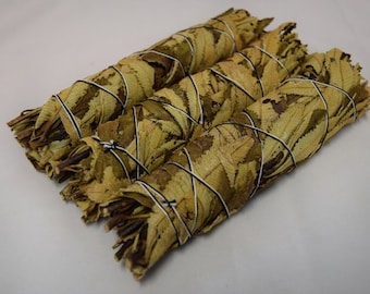 Herba Santa