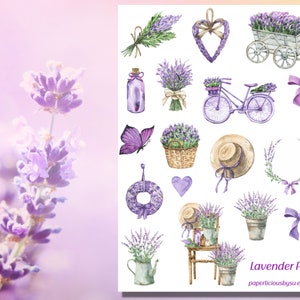 Lavendel stickervel, paars, lavendelveld, plant, esthetische sticker, plant, bloemen, bloem, natuur, planner, dagboek, kalender, bujo