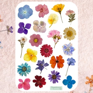 Hoja de pegatinas de flores prensadas, pegatinas de flores, botánica, flores silvestres, plantas, girasol, rosa, lirio, tulipán, planificador, diario, álbum de recortes