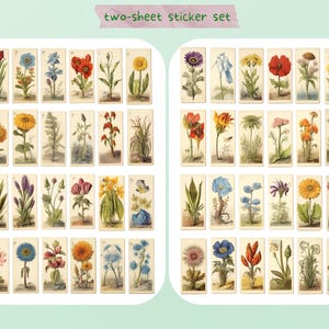 Vintage Floral Label Stickers, 2 sheets, junk journal floral tags, botanical, plant, aesthetic, planner, journal, scrapbooking