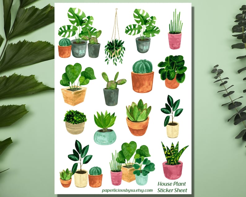 Pu&ograve; includere: Un foglio di adesivi con 16 diverse illustrazioni ad acquerello di piante da interno in vaso. Le piante includono succulente, felci, piante serpente e molto altro. Il foglio di adesivi &egrave; intitolato "House Plant Sticker Sheet" e include il sito web "paperliciousbysu.etsy.com".