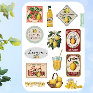 Hoja de pegatinas vintage con forma de limón, pegatinas de limón, pegatinas de limonada, estética, verano, pegatinas de planificador, diario, álbum de recortes