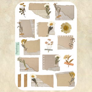 Adesivi vintage floreali in carta strappata, adesivi per diario estetico, adesivi con fiori pressati, cottagecore, effimeri estetici, planner, album