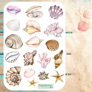 Feuille d'autocollants aquarelle coquillage, autocollant d'été, plage, coquillage, océan, vacances, agenda, bullet journal, bujo, scrapbooking