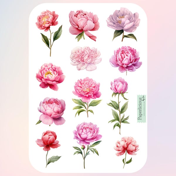Watercolor Peonies Sticker Sheet, peony sticker, floral sticker, flower, spring, pink, planner, bullet journal, scrapbook, envelope seal