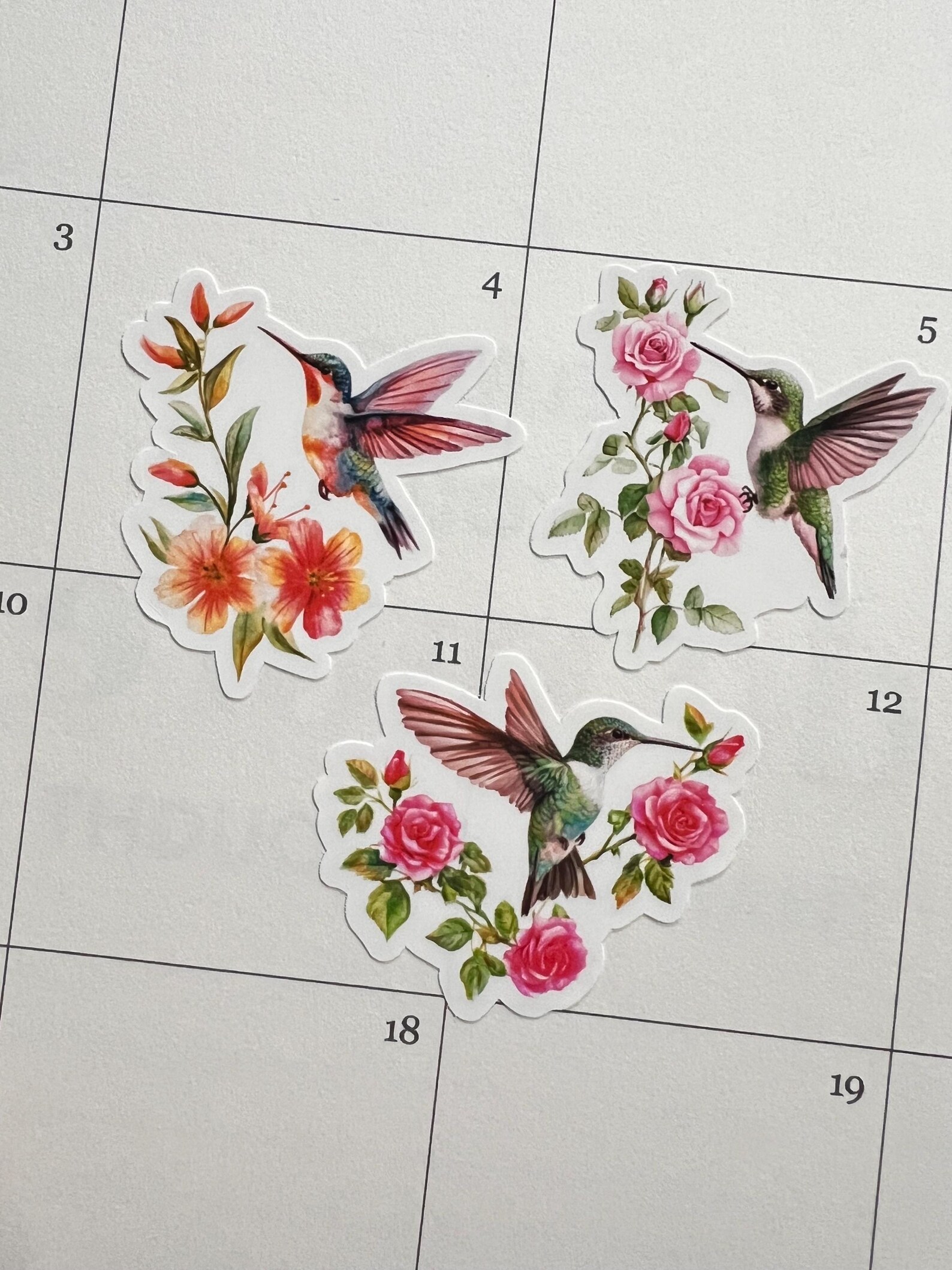 Hummingbird Sticker Sheet, Bird Stickers, Spring, Floral Birdhouse ...