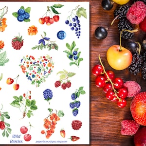 Folha de adesivos de frutas silvestres em aquarela, adesivos de frutas silvestres, adesivo de planta, adesivos estéticos, planejador, diário com marcadores, álbum de recortes, selo de envelope