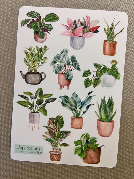 House Plant Sticker Sheet, Cactus stickers, Succulent stickers, Potted Plants, Planner Stickers, Bullet Journal, Bujo, Scrapbooking