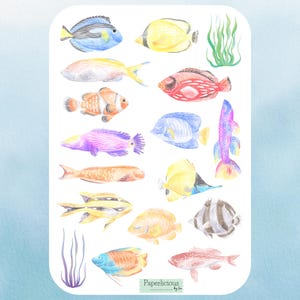 Aquarell Fische Sticker, Fisch Sticker, Meerestiere, tropische Fische, Natur, Planer, Journal, Kalender, Scrapbooking