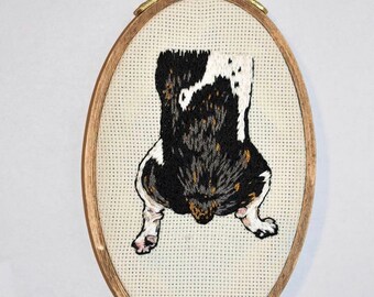 Sploot *カスタム