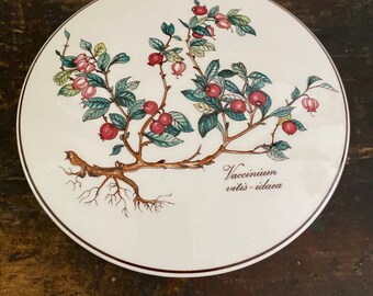 May include: A white ceramic plate with a botanical illustration of a Vaccinium vitis-idaea plant with red berries and green leaves. The plate has a brown rim and a brown inscription that reads "Vaccinium vitis-idaea".