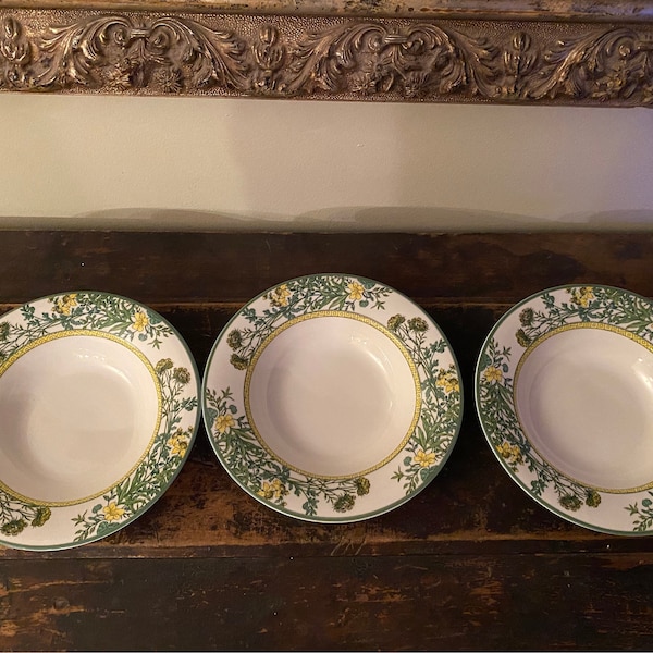3 Mikasa Floral Court Rimmed Soup Bowls