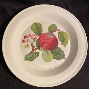 Vintage Portmeirion Hoary Morning Apple Pie Plate