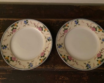 2 Noritake Amerita Bread Plates