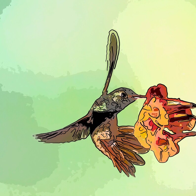 Stylized Wall Decor Buff-bellied Hummingbird 01