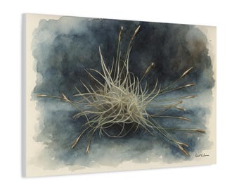 Ball Moss Botanical Canvas Art | Watercolor Tillandsia Print | Texas Native Epiphyte Wall Décor | Nature Inspired Artwork