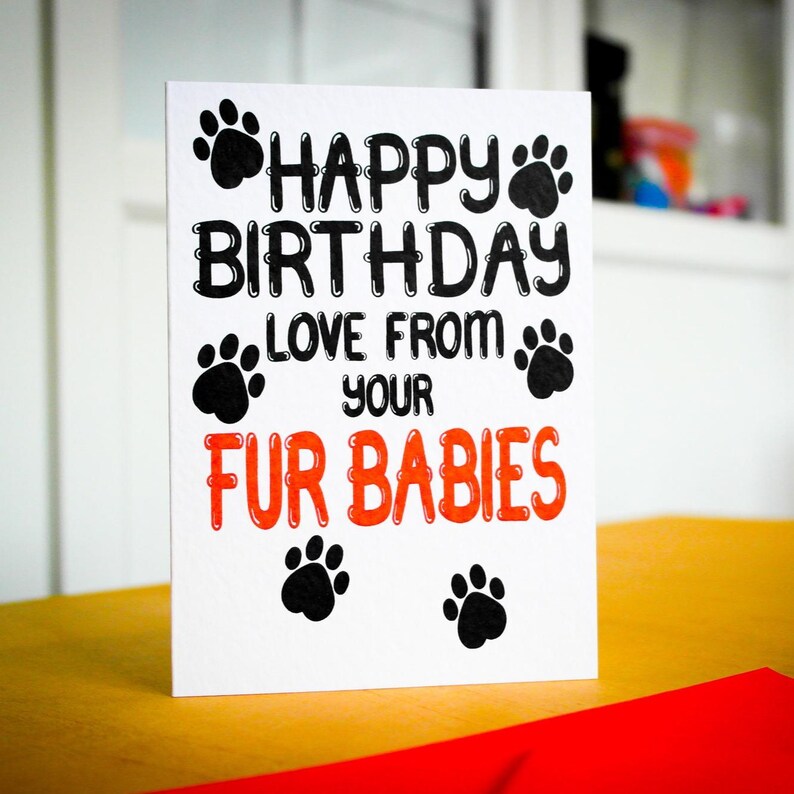 May include: A white card with black paw prints and the text "Happy Birthday Love from your Fur Babies" in black and orange lettering.