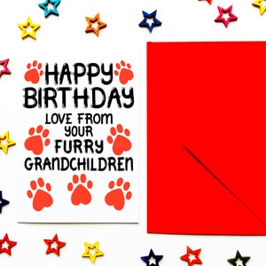 Birthday Card From Furry Grandchildren, Birthday Card For Grandad, Papa From The Dog, Cat, Fur Babies, Dog, Cat Grandma, Nanny Birthday Card image 5