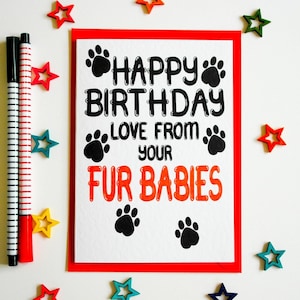 Alles Gute zum Geburtstag Liebe von Ihrer Pelzbabys Karte, Geburtstagskarte von Haustieren, lustige Geburtstagskarte von den Hunden, alles Gute zum Geburtstag von den Katzen
