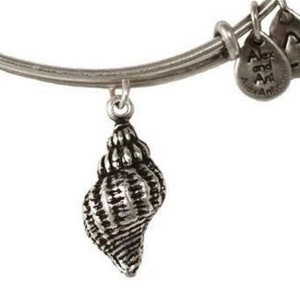 Alex and cheap ani seashell necklace